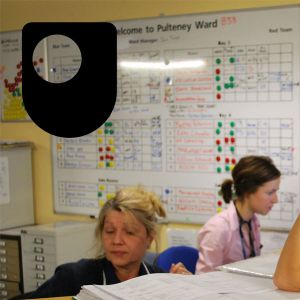 Leading values