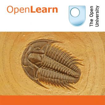Life in the Palaeozoic - for iBooks