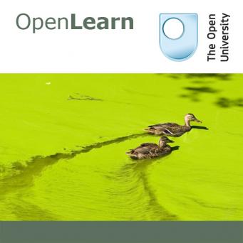 Eutrophication - for iBooks