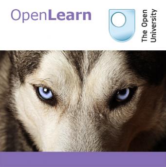 Evolution: artificial selection and domestication - for iBooks