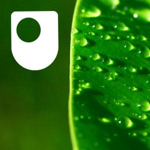 Global responses to Darwin's ideas - Audio
